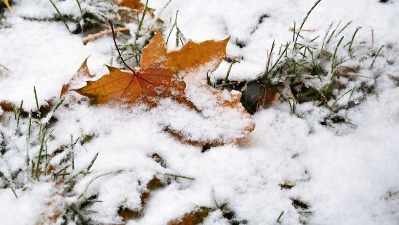 Апрельские заморозки не навредят сельскому хозяйству, считают в Госдуме