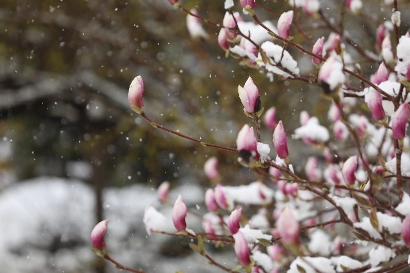 Леус: С начала апреля в Москве выпало более двух месячных норм осадков