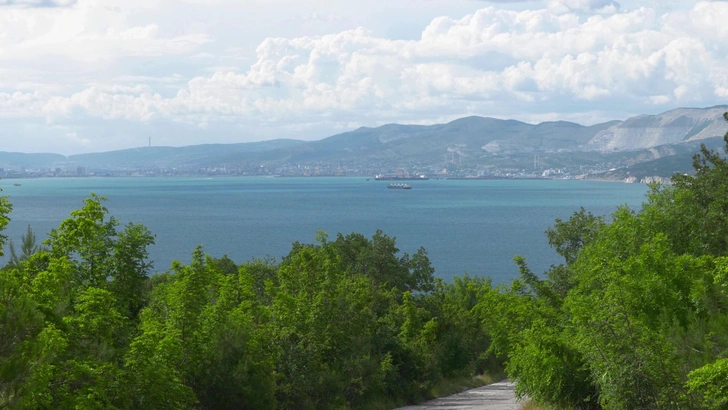 Пляжи «Краснодарского края» откроются полностью: чего ждать туристам летом 2026 года