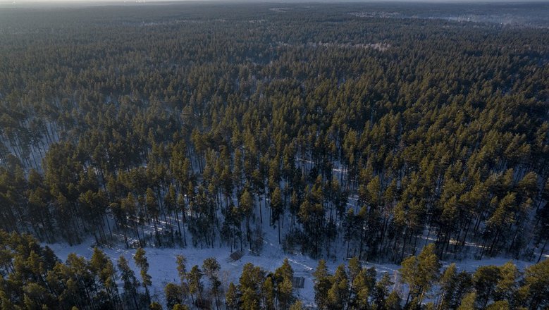 В Красноярском крае возобновили поиски семьи Усольцевых, пропавшей в 2025 году