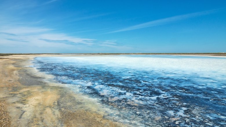 Апокалипсис близко? У Мёртвого моря забила пресная вода, и верующие вспомнили пророчество Иезекииля