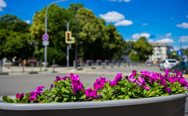 Восток и юг Крыма перезапитали: в остальной части полуострова — отключения