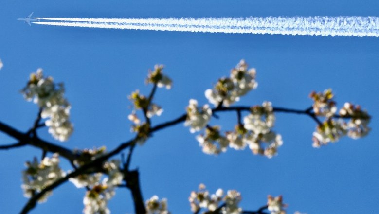 ВВС Финляндии ввели ограничения в воздушном пространстве над Финским заливом